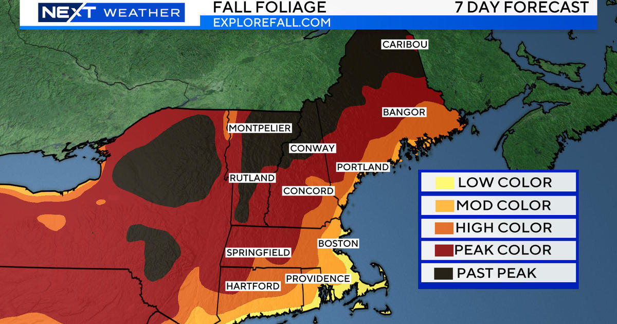 NY fall foliage report and map 2023: Where to see leaves at peak now